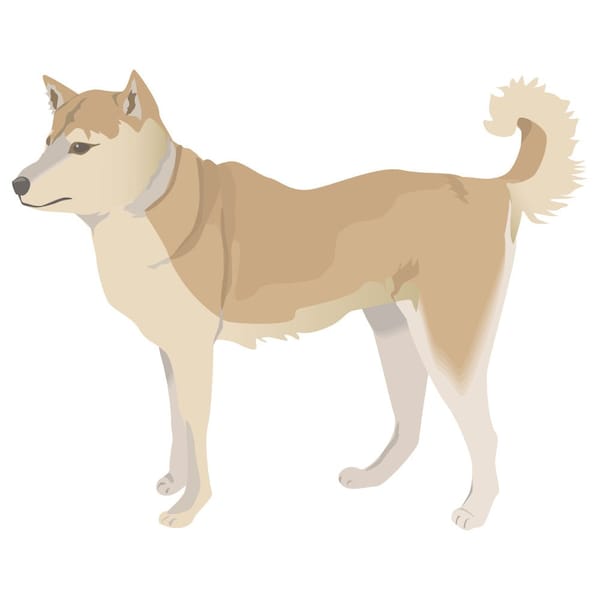 Finnish Spitz Dog Decal, Dog Lover Decor Vinyl Sticker
